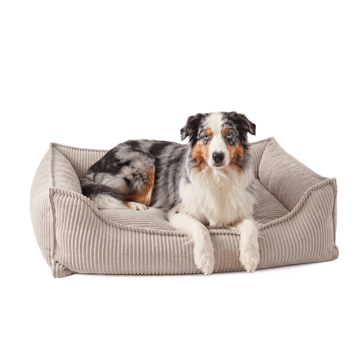 HUGO Orthopädisches Hundebett aus Cord PREMIUM-LINE