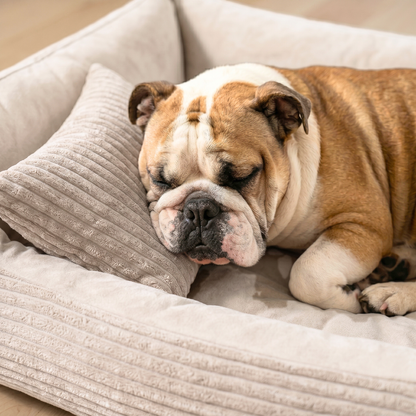 MOLLY Hundebett aus Cord