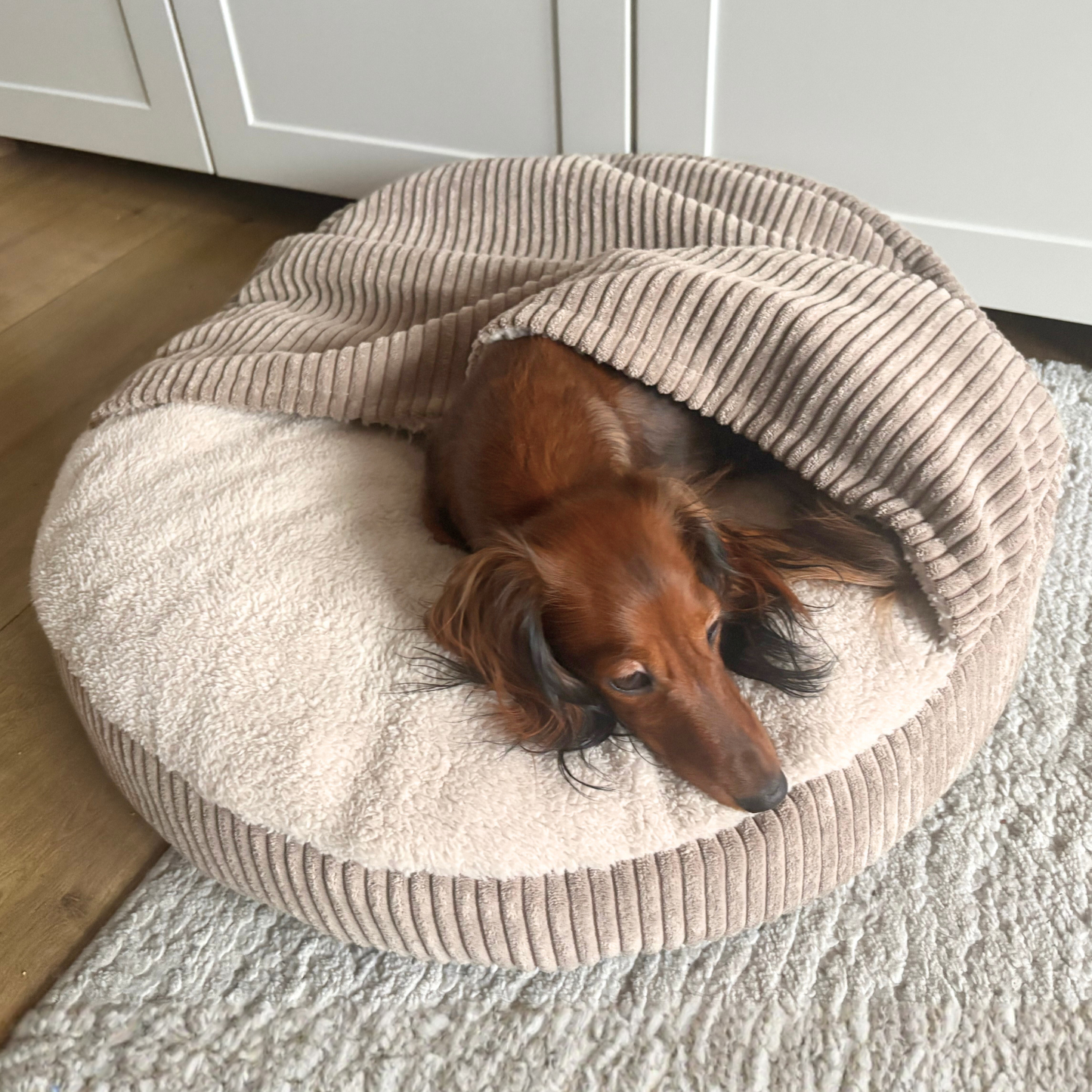 VIGO Hundebett mit Kapuze