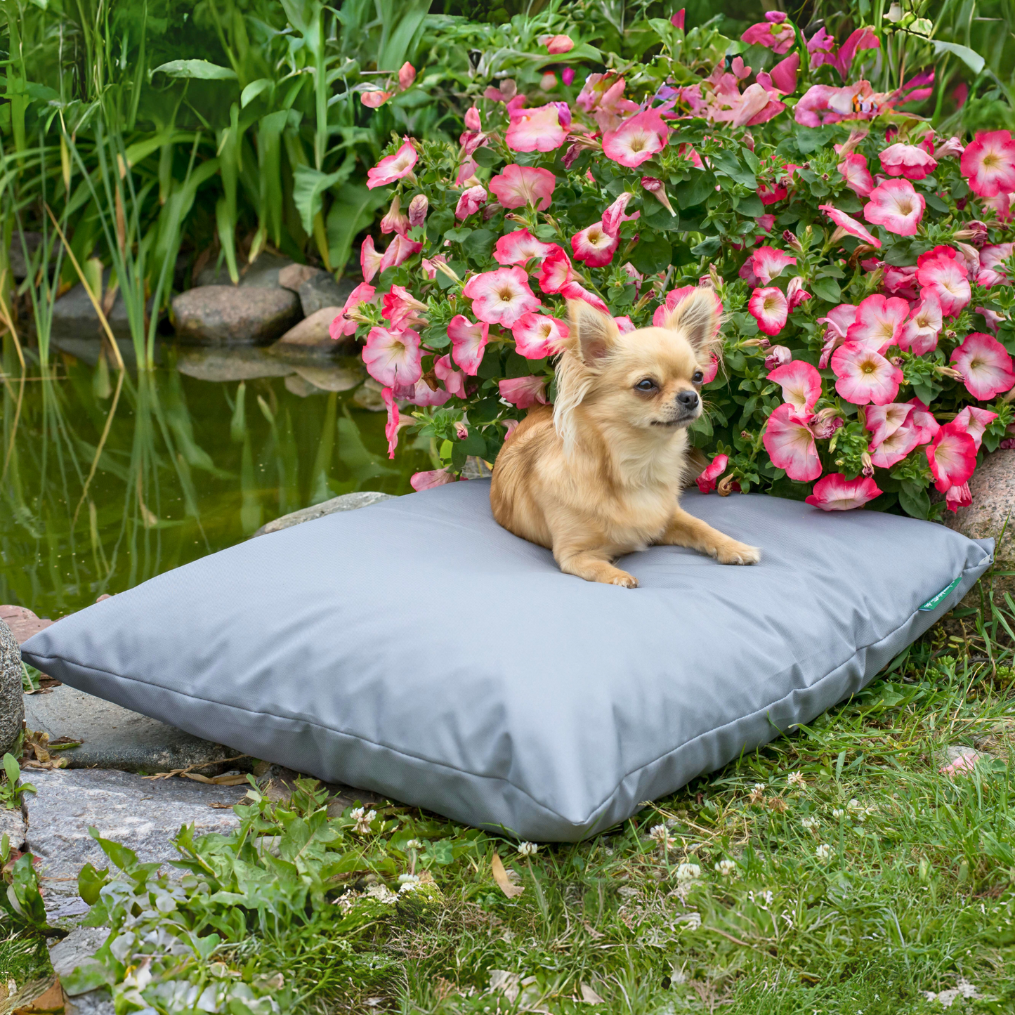 ZOE Wasserdichtes Hundekissen mit Bezug Grau