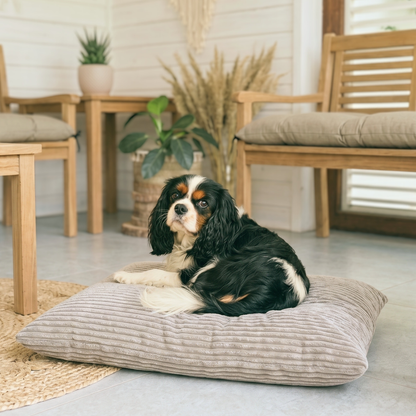 MOLLY Hundekissen aus Cord mit Bezug