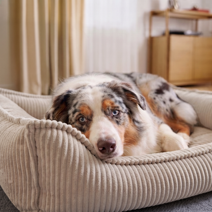 HUGO Orthopädisches Hundebett aus Cord PREMIUM-LINE