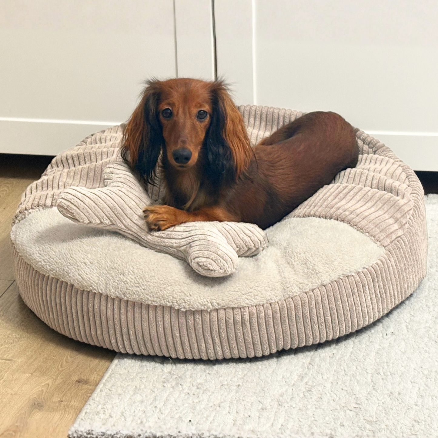 VIGO Hundebett mit Kapuze