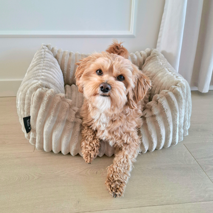 BELLA Hundebett aus Premium-Plüsch für kleine Hunde und Katzen