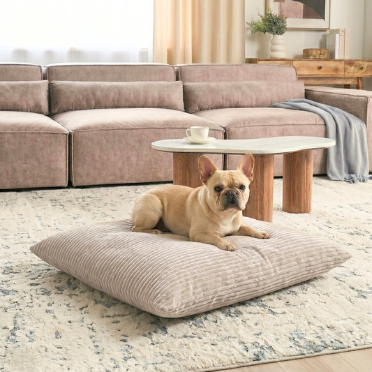 MOLLY Hundekissen aus Cord mit Bezug