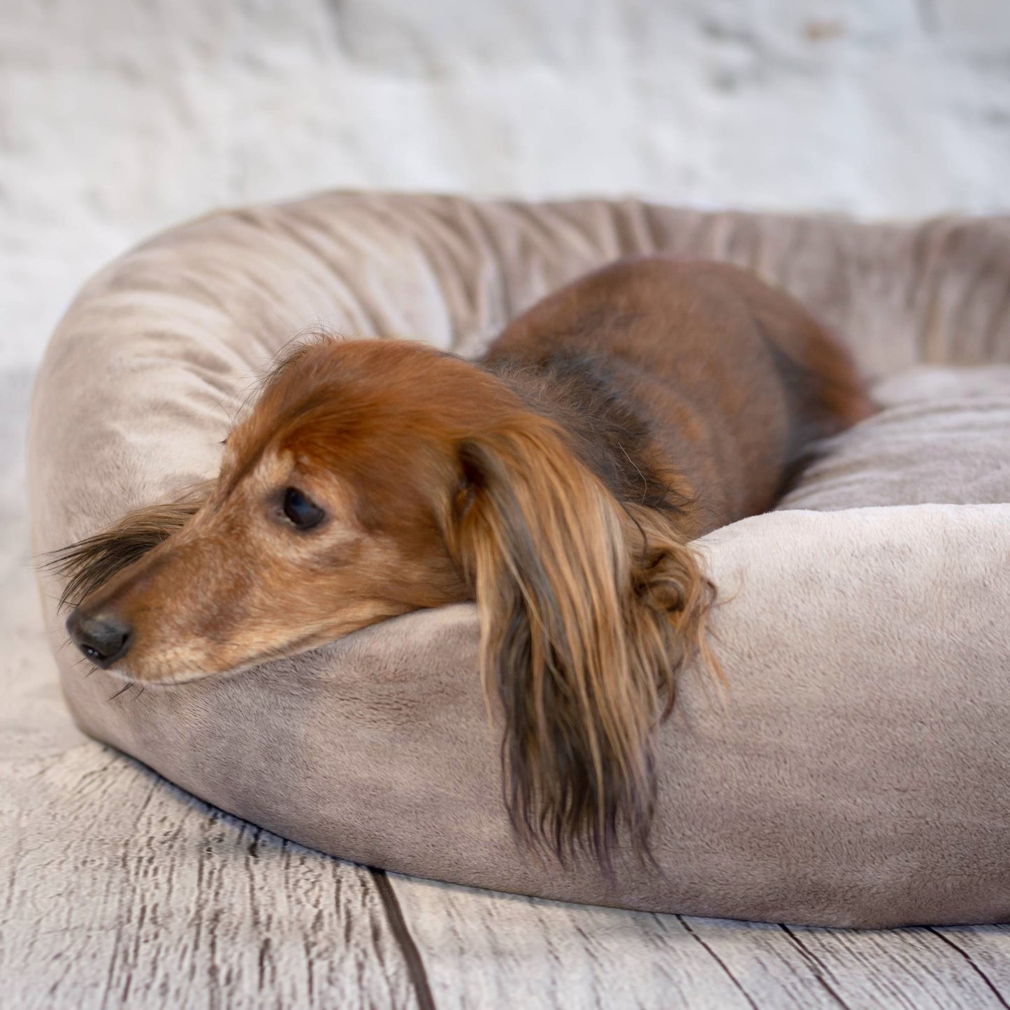 BUZZY Weiches Hundebett Braun