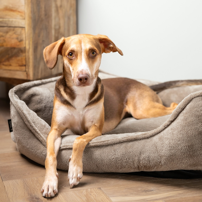 IRIS Orthopädisches Hundebett PREMIUM-LINE