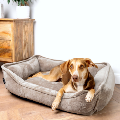 IRIS Orthopädisches Hundebett PREMIUM-LINE