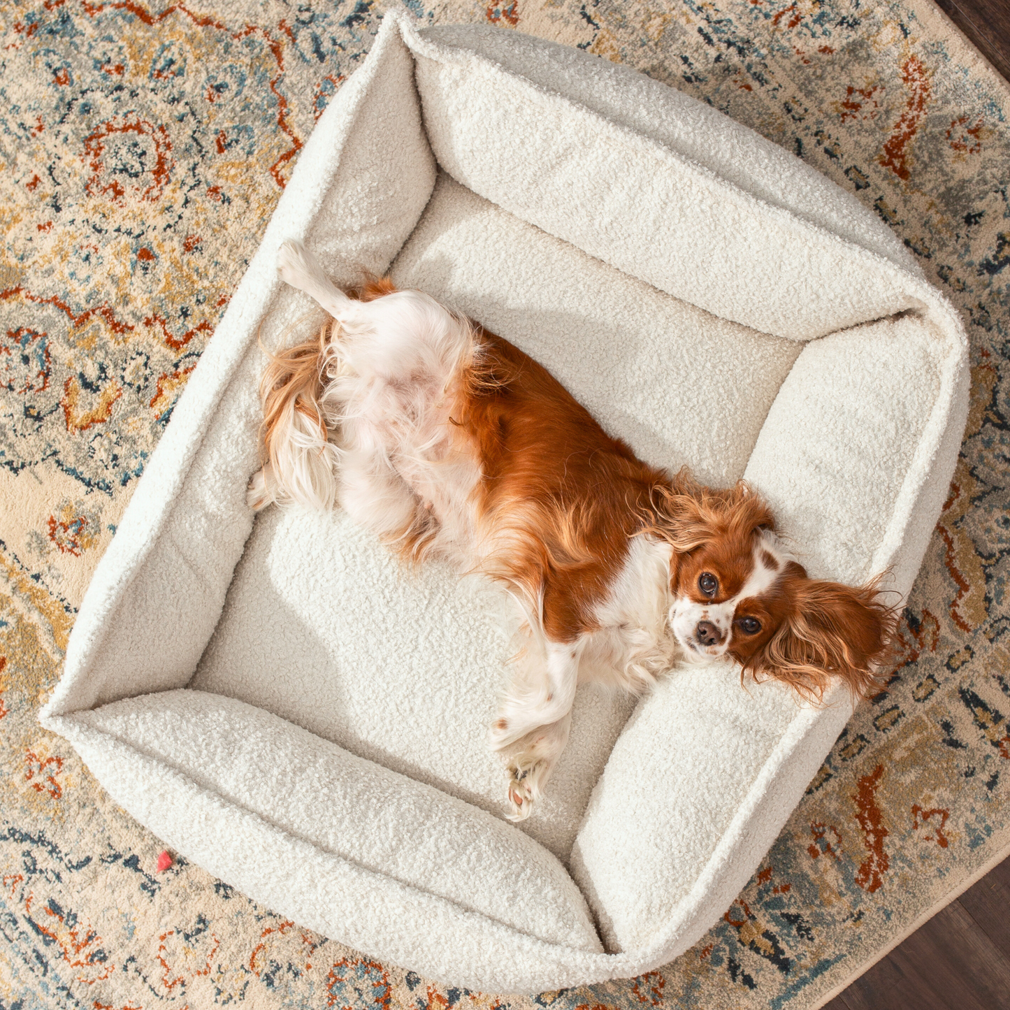 LEO - Anti-Stress Hundebett aus Bouclé PREMIUM-LINE