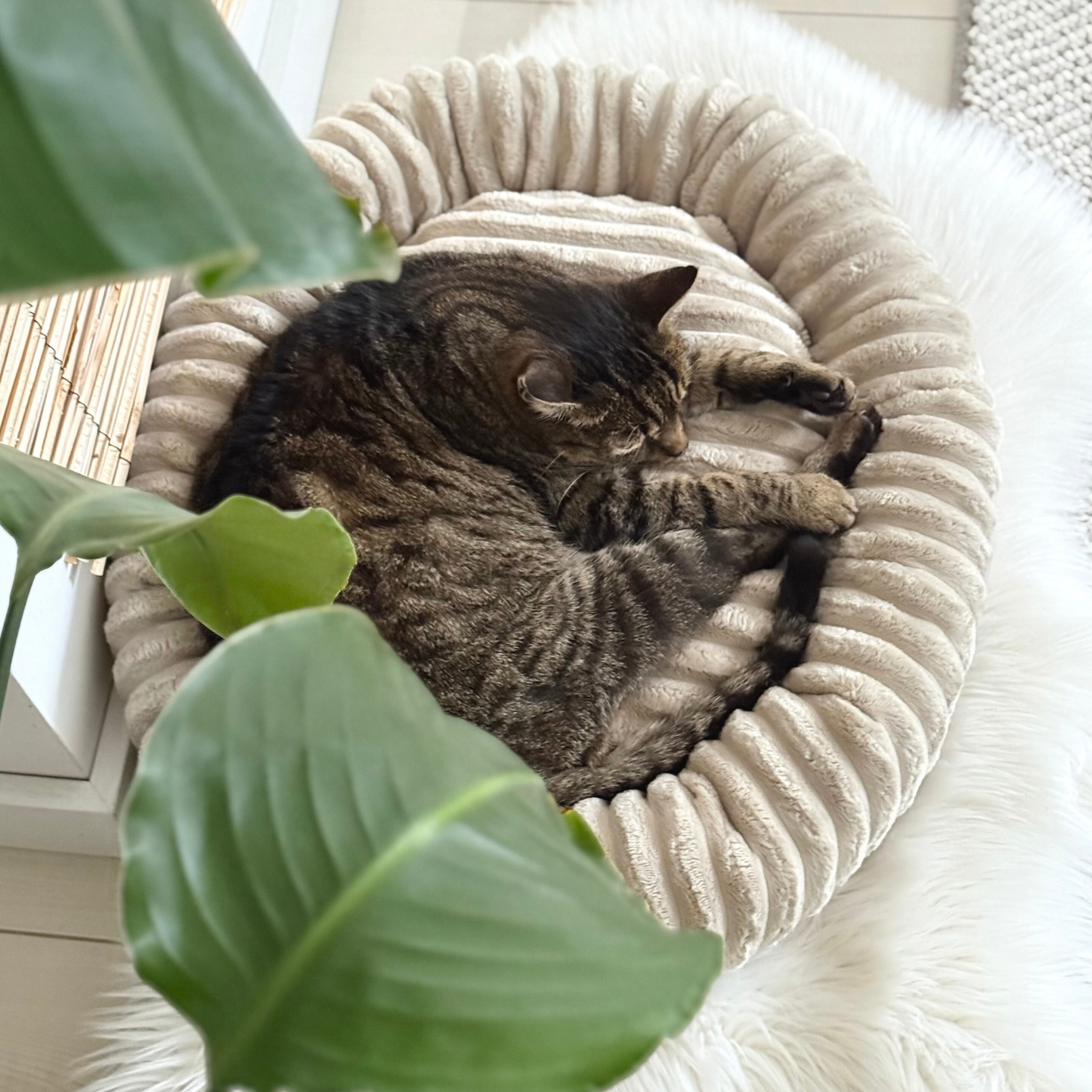 LUNA Weiches Katzenbett