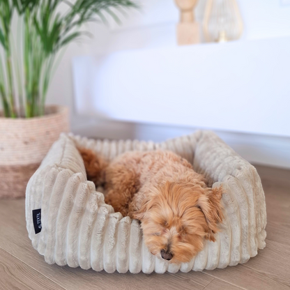 BELLA Hundebett aus Premium-Plüsch für kleine Hunde und Katzen