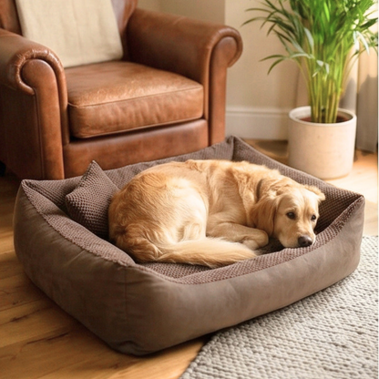 TEO Kuscheliges waschbares Hundebett