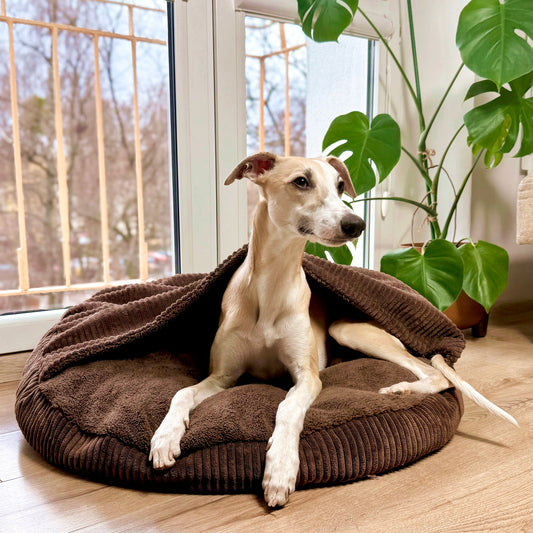 VIGO Hundebett mit Kapuze