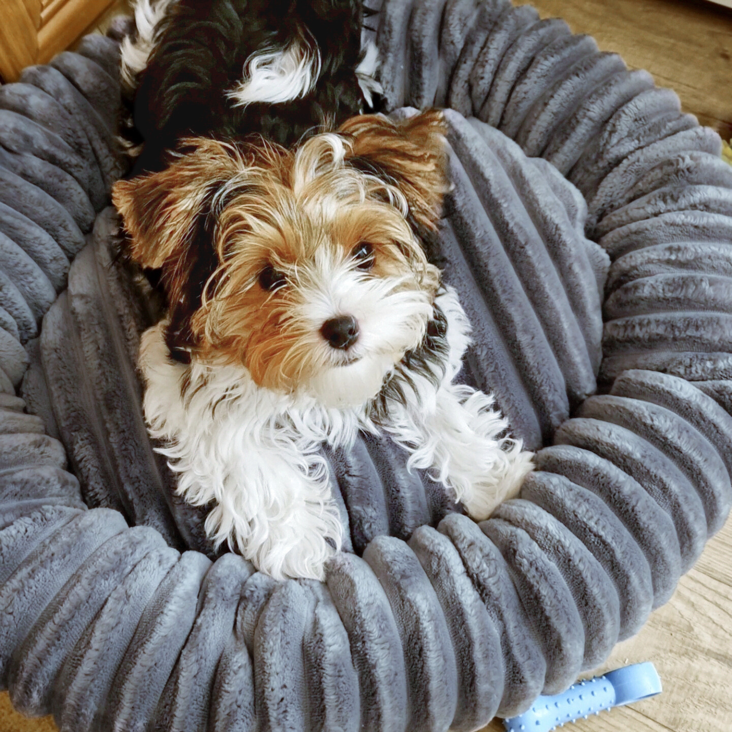 LUNA Weiches Hundebett