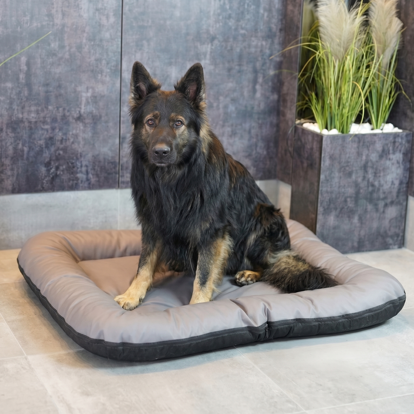 ELLA Hundematratze - Hundebett aus Kunstleder