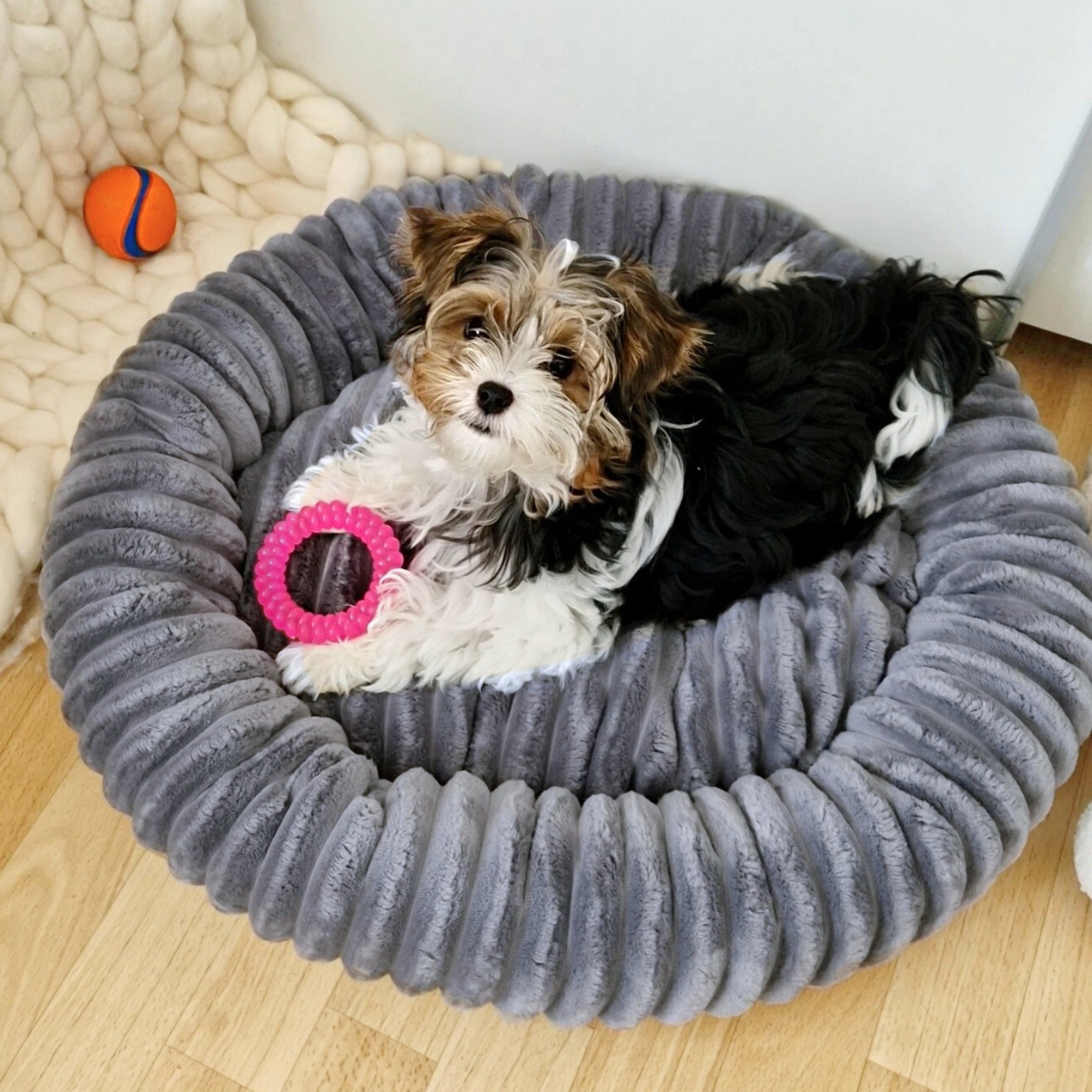 LUNA Weiches Hundebett