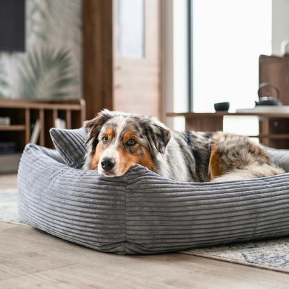 MOLLY Hundebett aus Cord