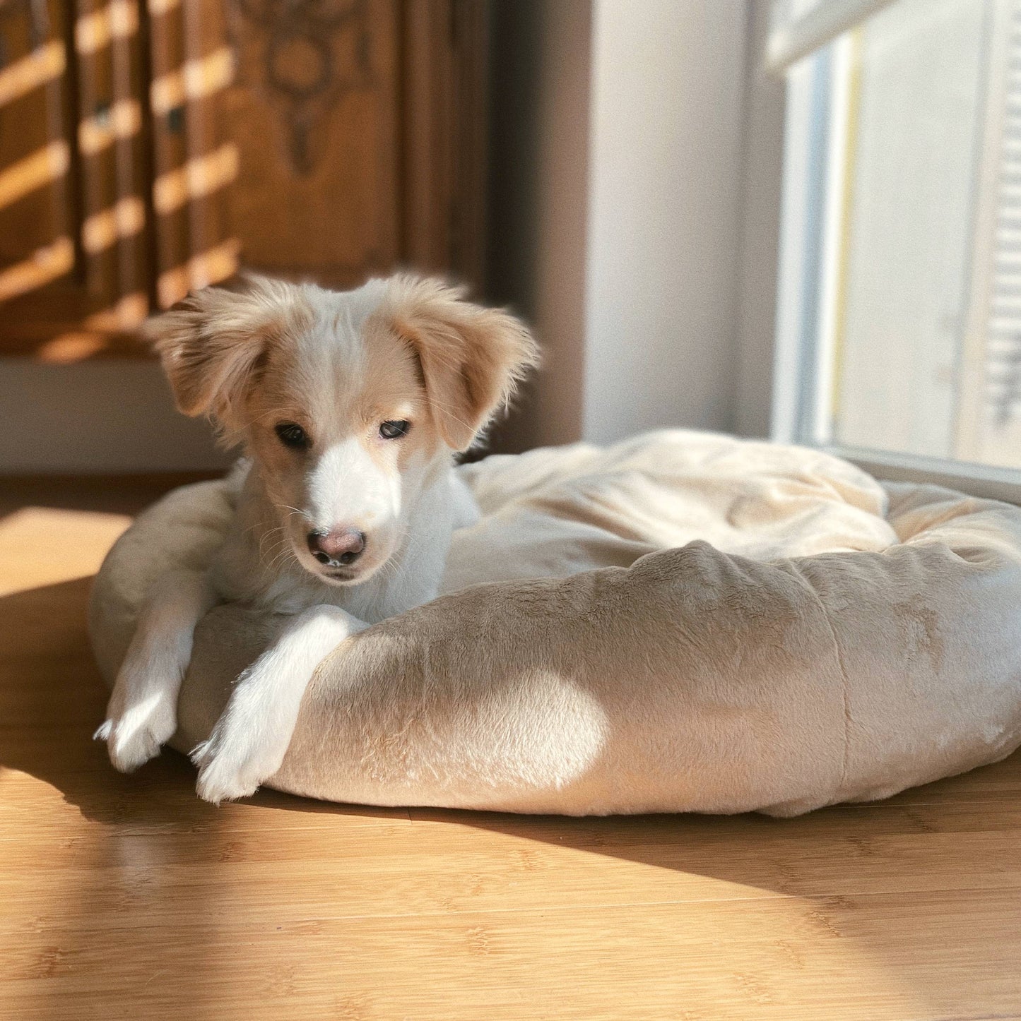 Buzzy weiches Hundebett Beige