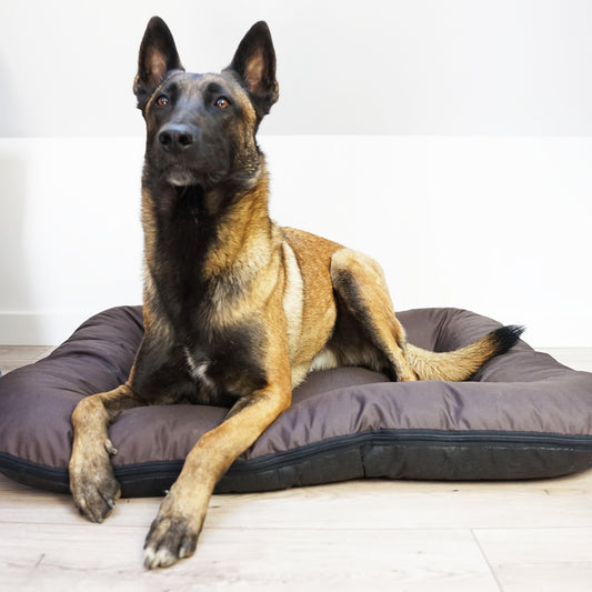 KLEO Wasserabweisendes Hundebett Braun