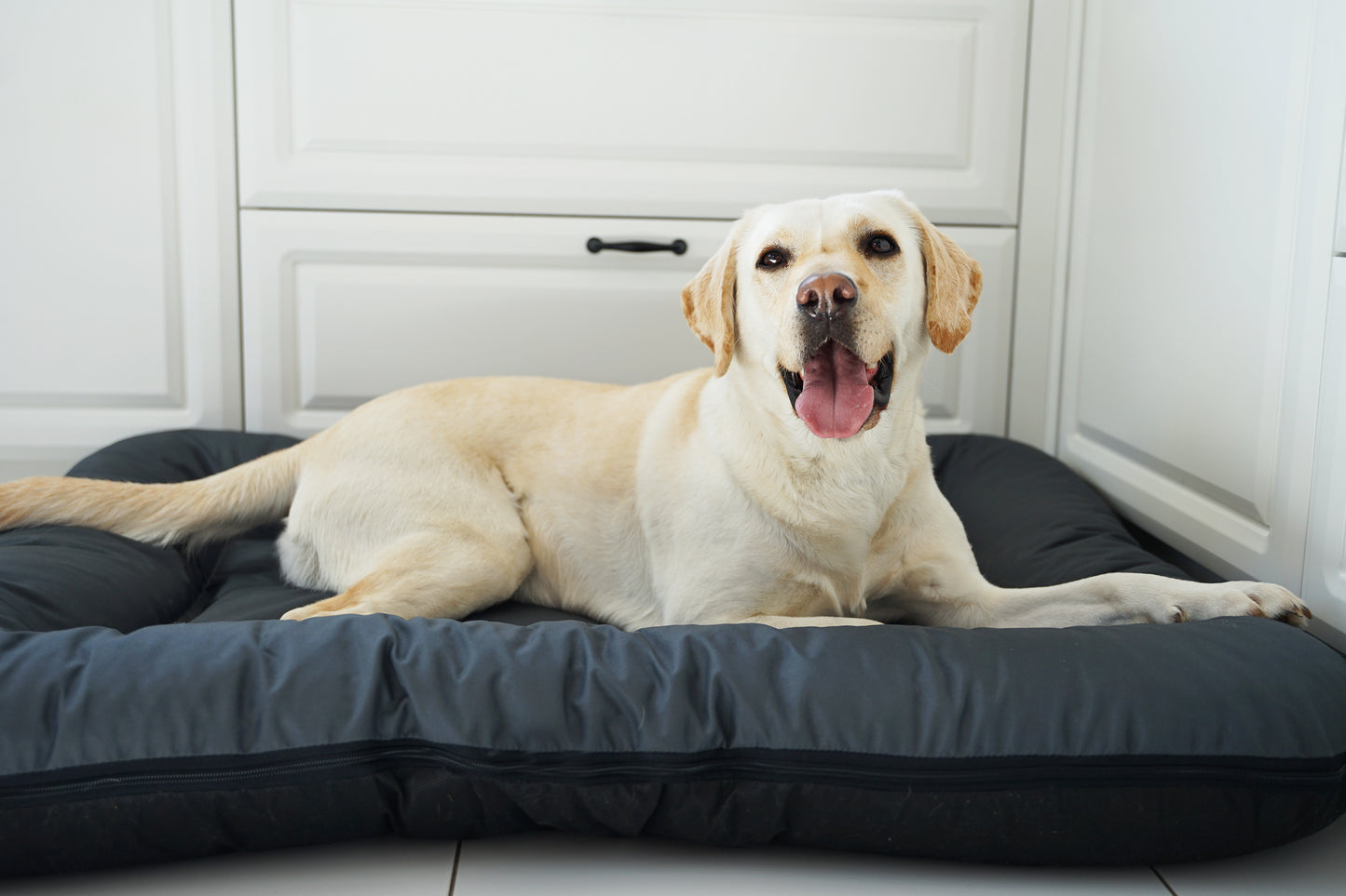 KLEO Wasserabweisendes Hundebett Dunkelgrau