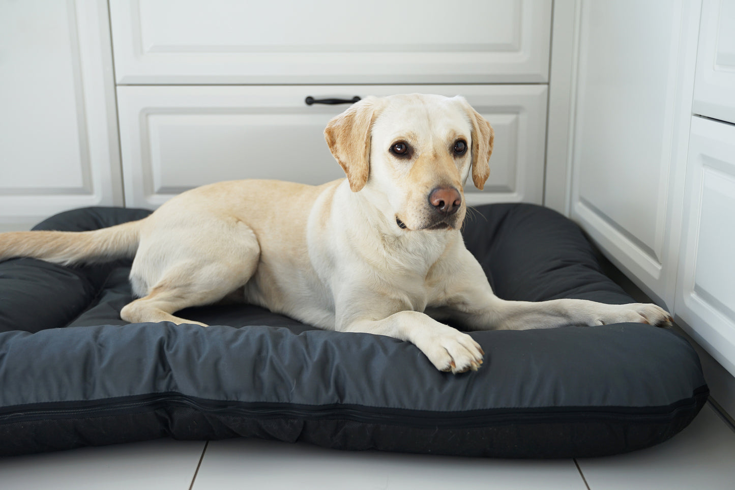 KLEO Wasserabweisendes Hundebett Dunkelgrau