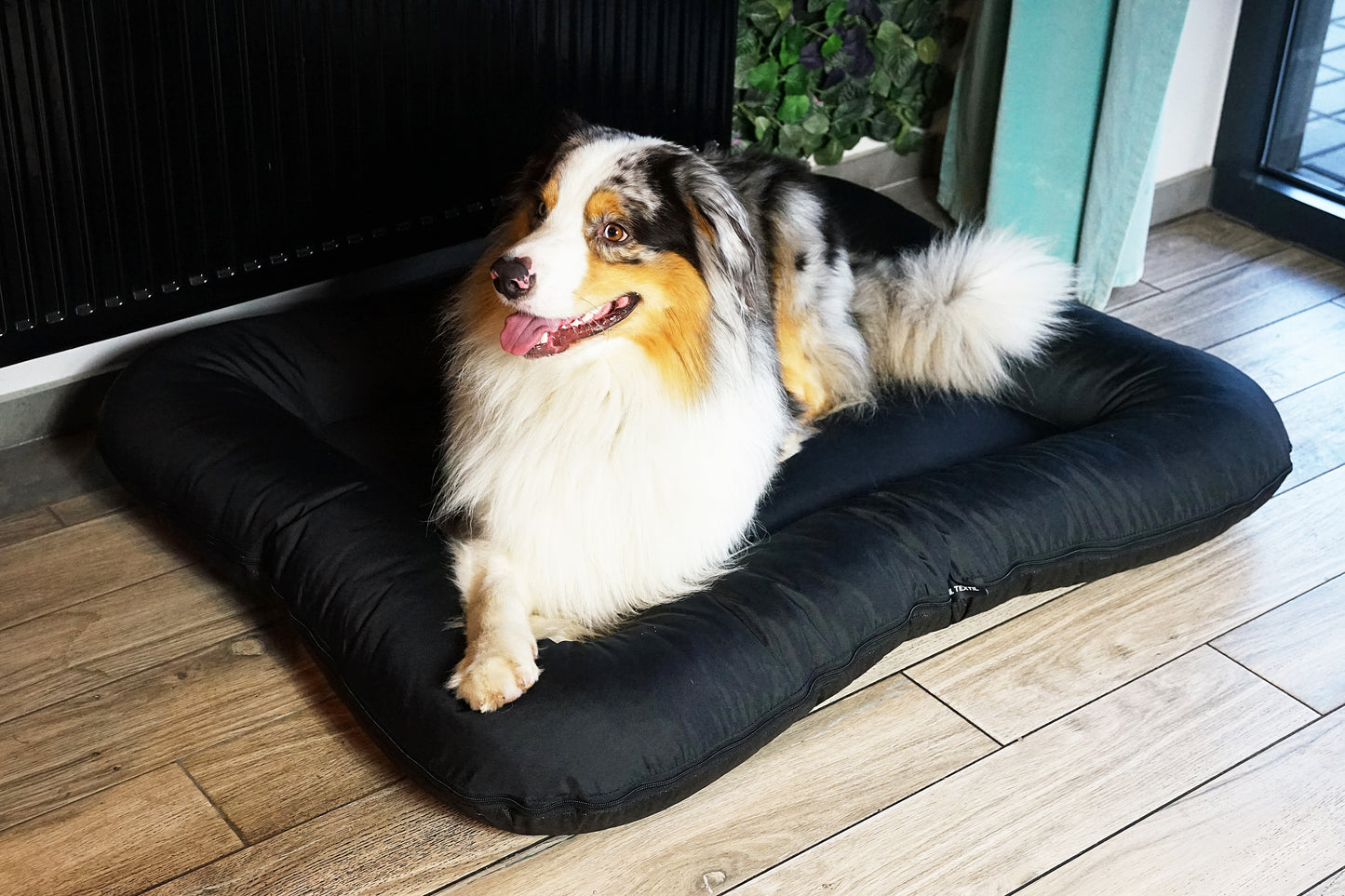 KLEO Wasserabweisendes Hundebett Schwarz