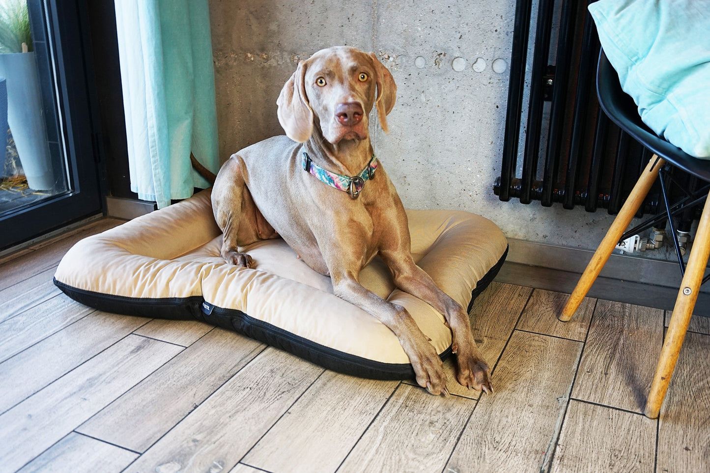 KLEO Wasserabweisendes Hundebett Beige