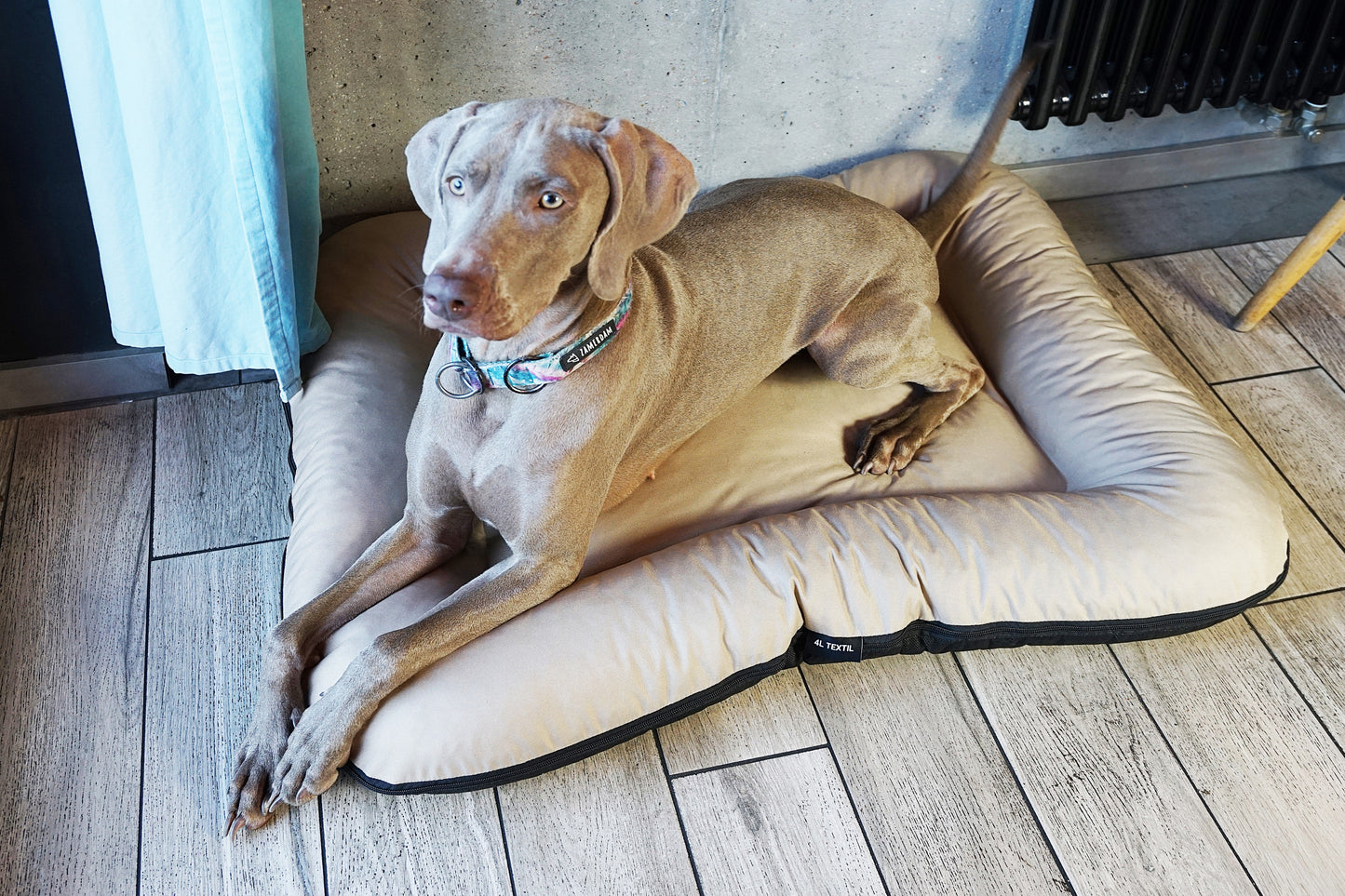 KLEO Wasserabweisendes Hundebett Beige