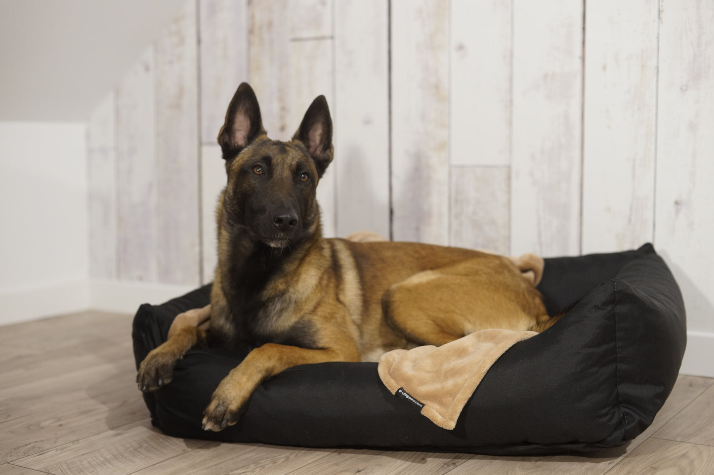 KOKO Hundekorb mit abnehmbarem, wasserdichtem Bezug Schwarz