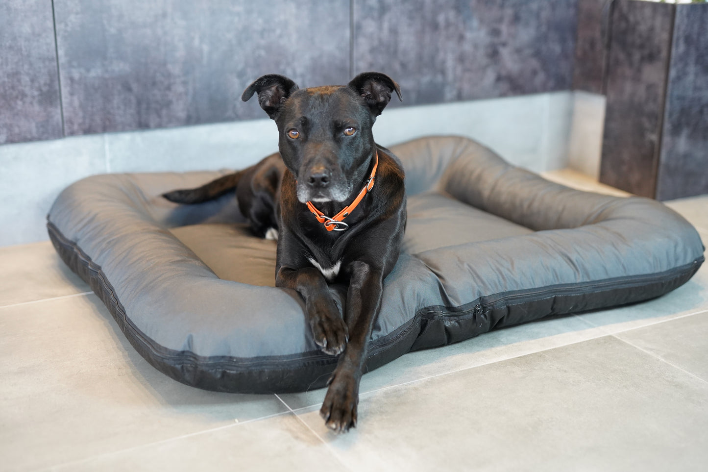 KLEO Wasserabweisendes Hundebett Dunkelgrau