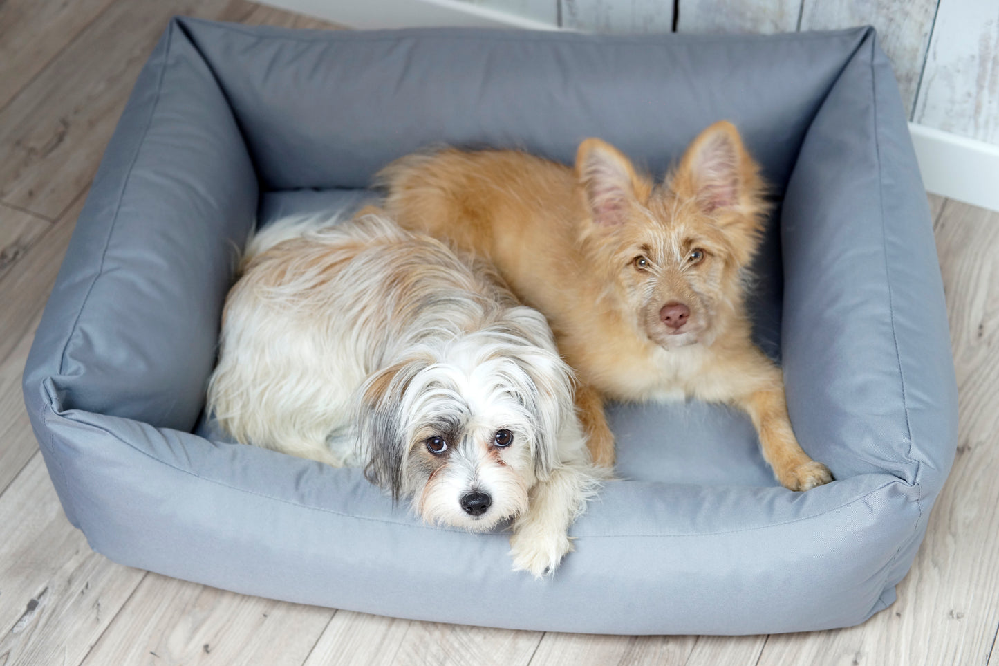 KOKO Hundekorb mit abnehmbarem, wasserdichtem Bezug Grau