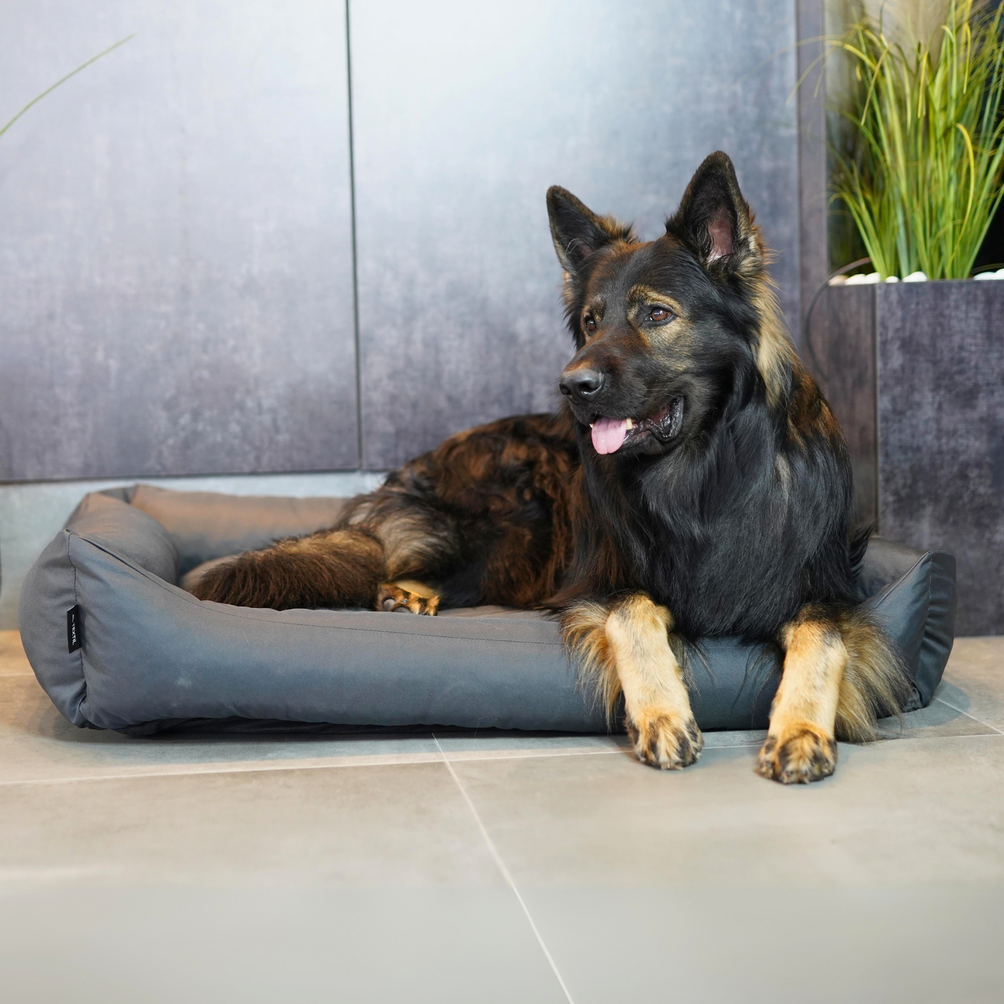 KOKO Hundekorb mit abnehmbarem, wasserdichtem Bezug Dunkelgrau