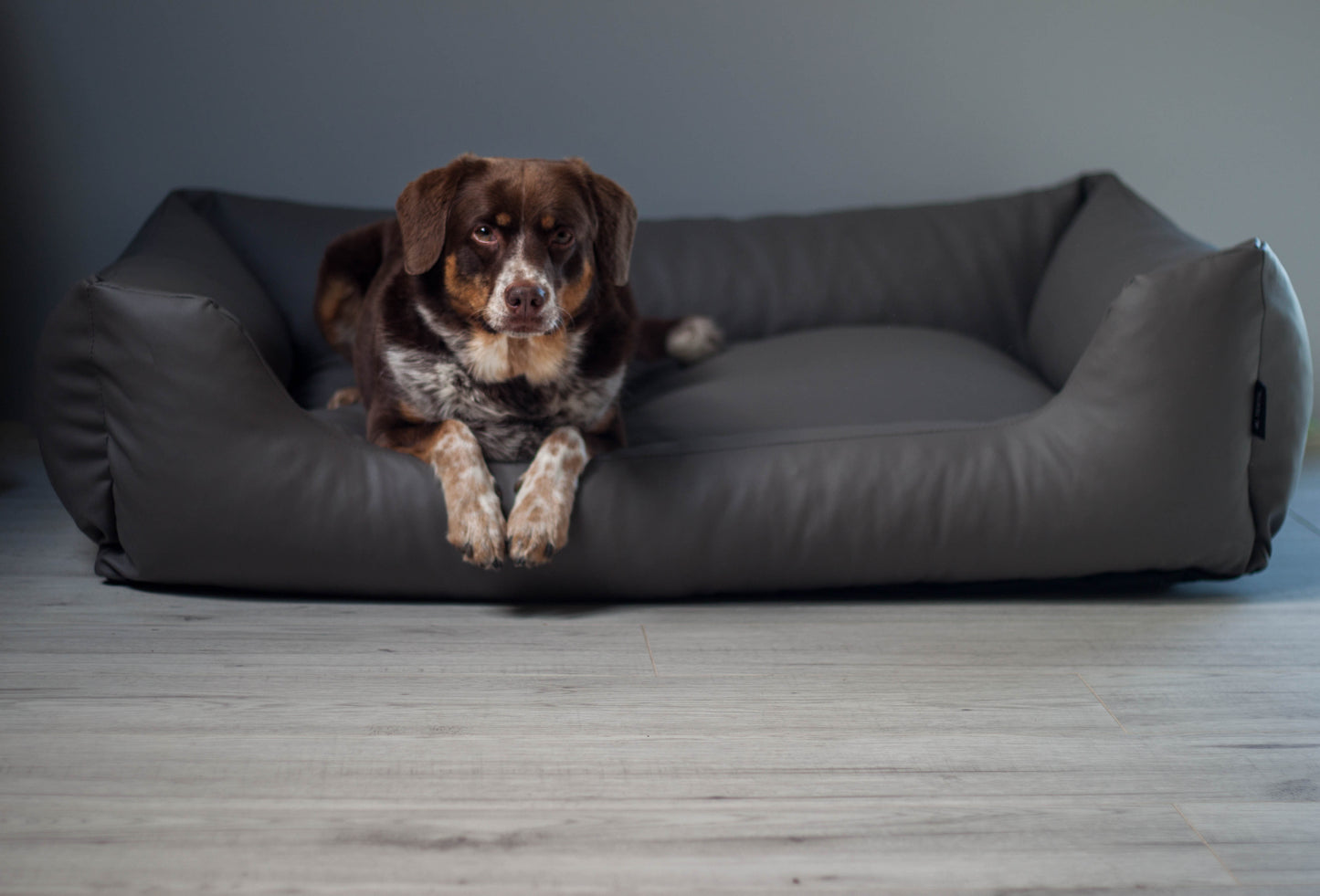 MARIO Hundebett aus Kunstleder Dunkelgrau