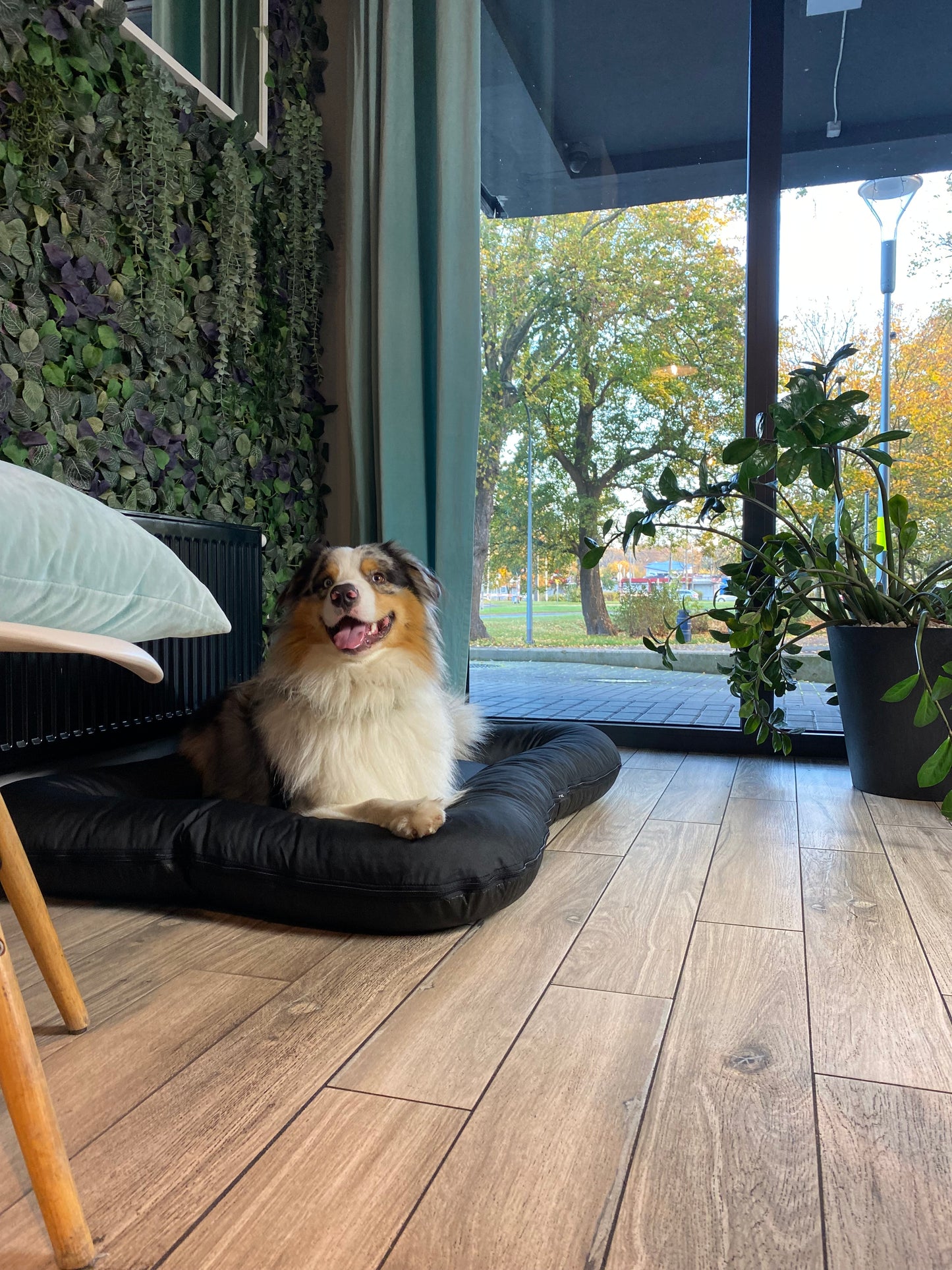 KLEO Wasserabweisendes Hundebett Schwarz