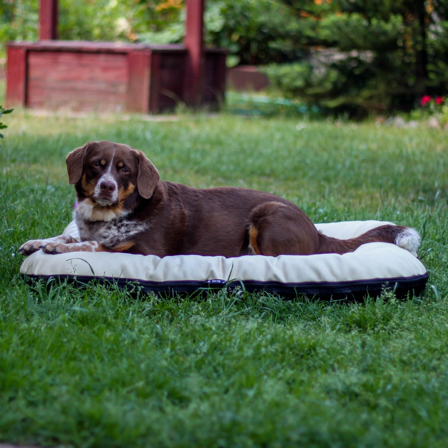 ELLA Hundematratze Kunstleder Beige