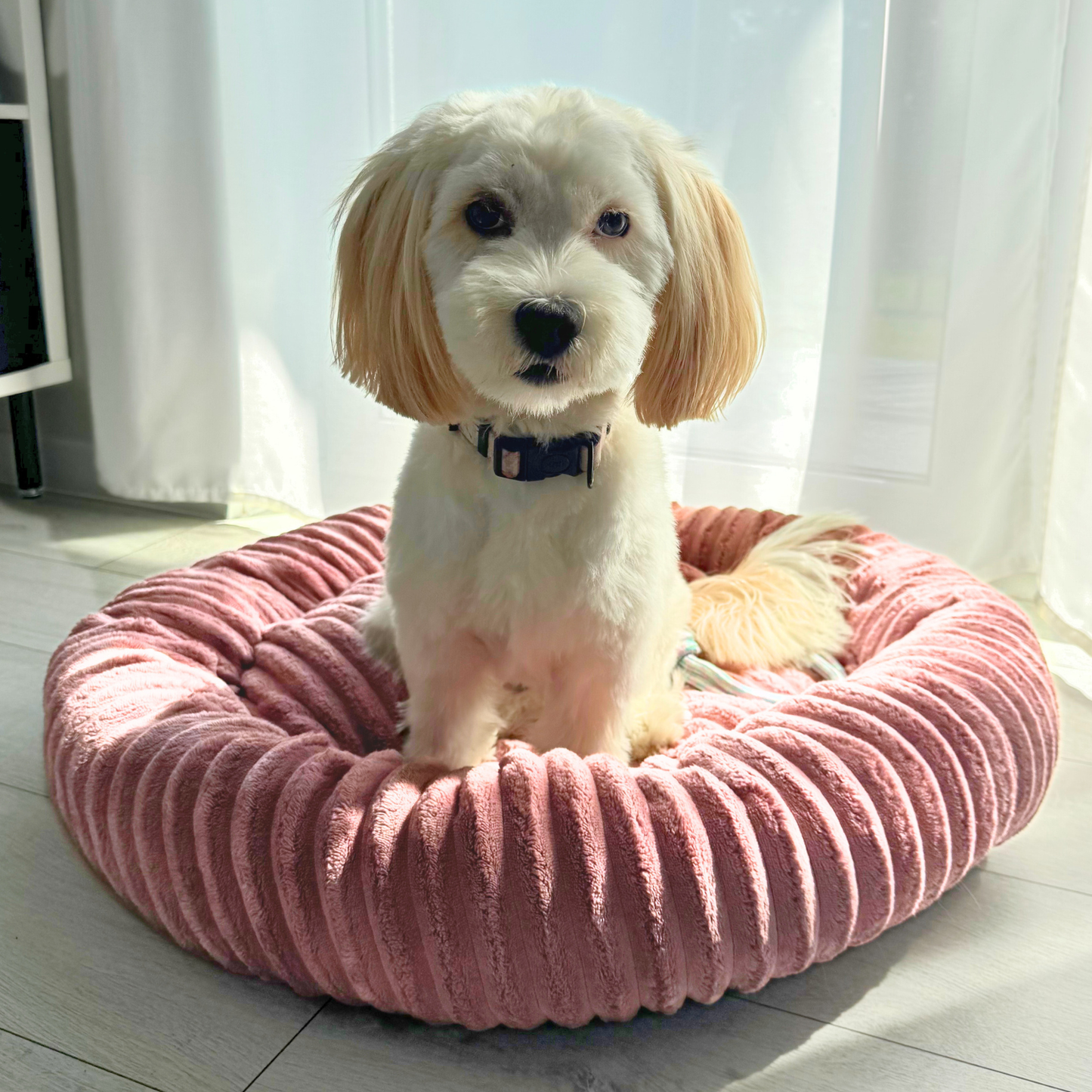 LUNA Weiches Hundebett