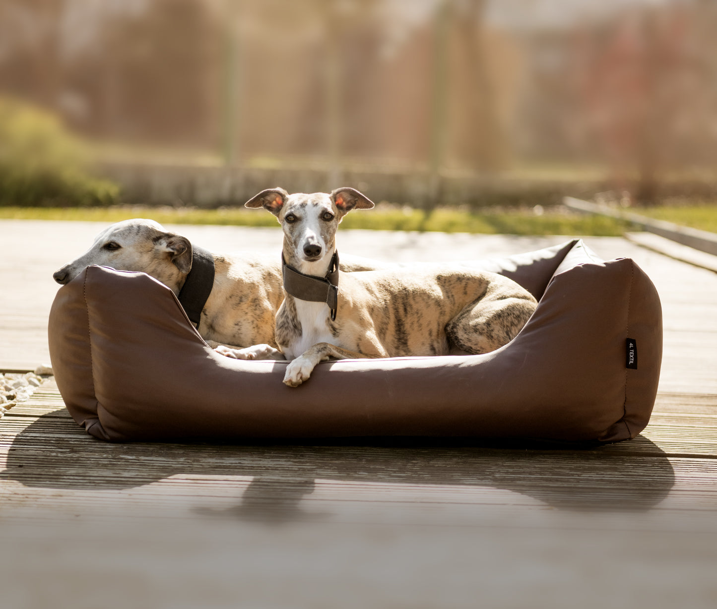 MARIO Hundebett aus Kunstleder
