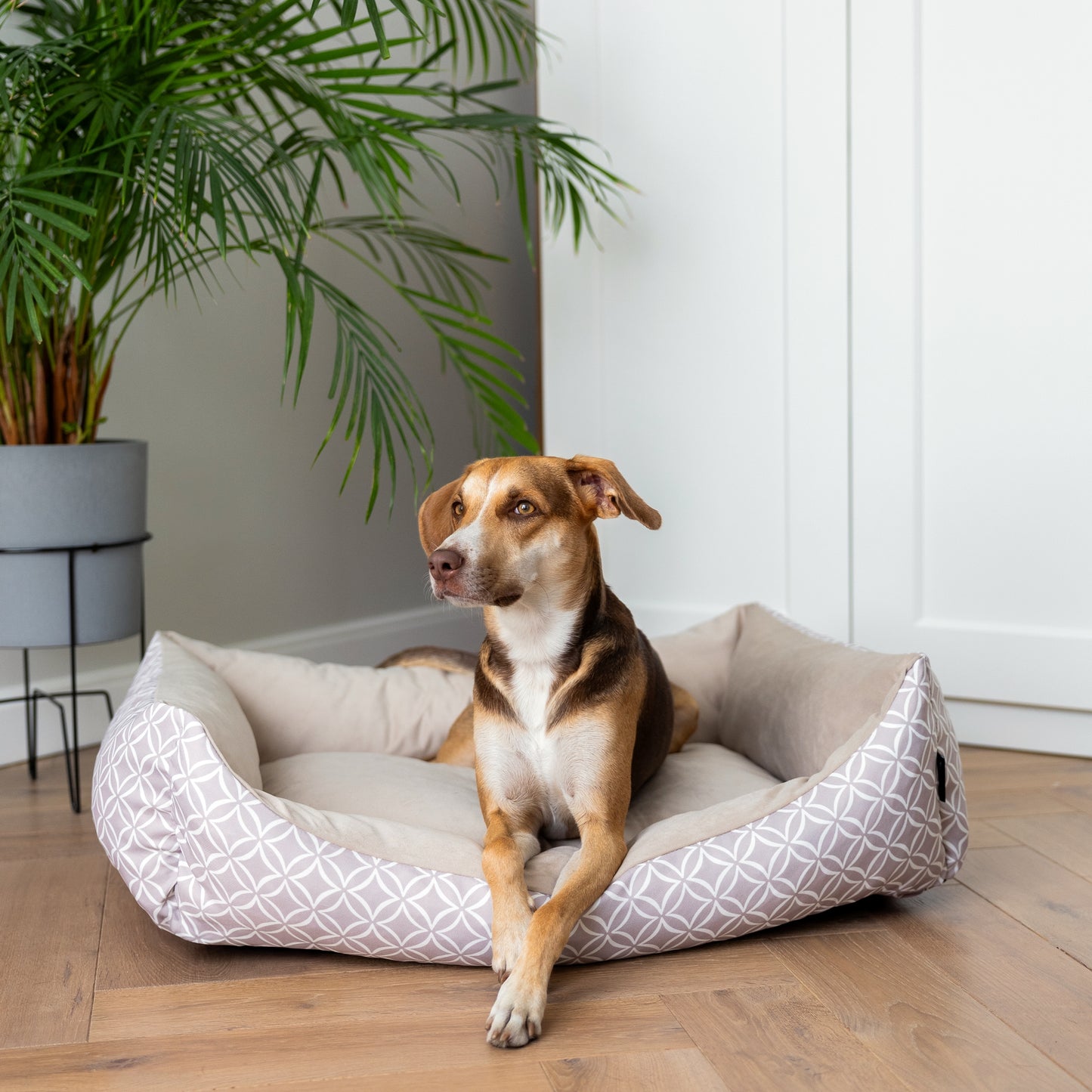 OTTO Boho Hundebett Beige