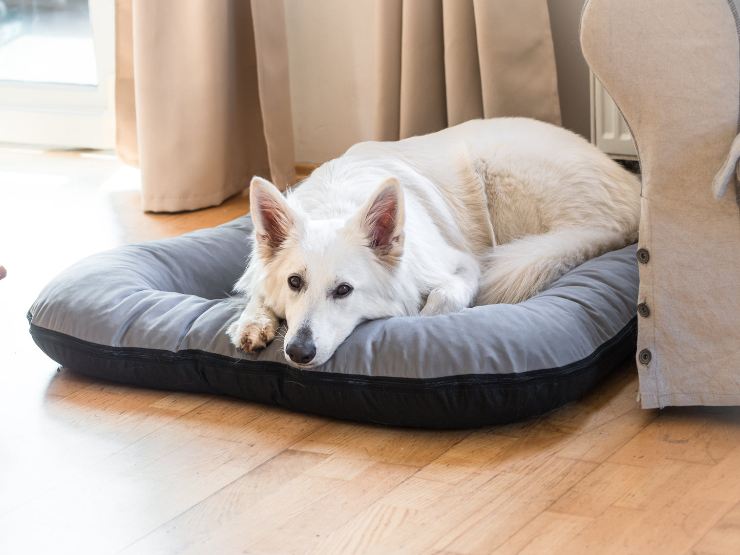 KLEO Wasserabweisendes Hundebett Grau