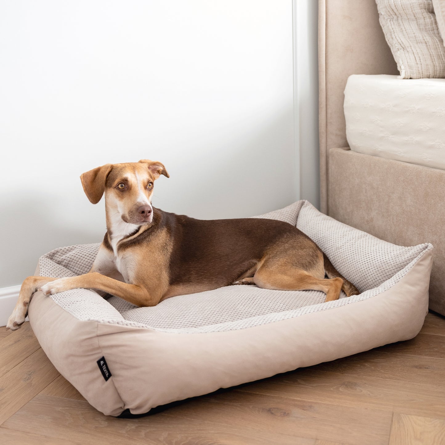 TEO Kuscheliges Hundebett Beige