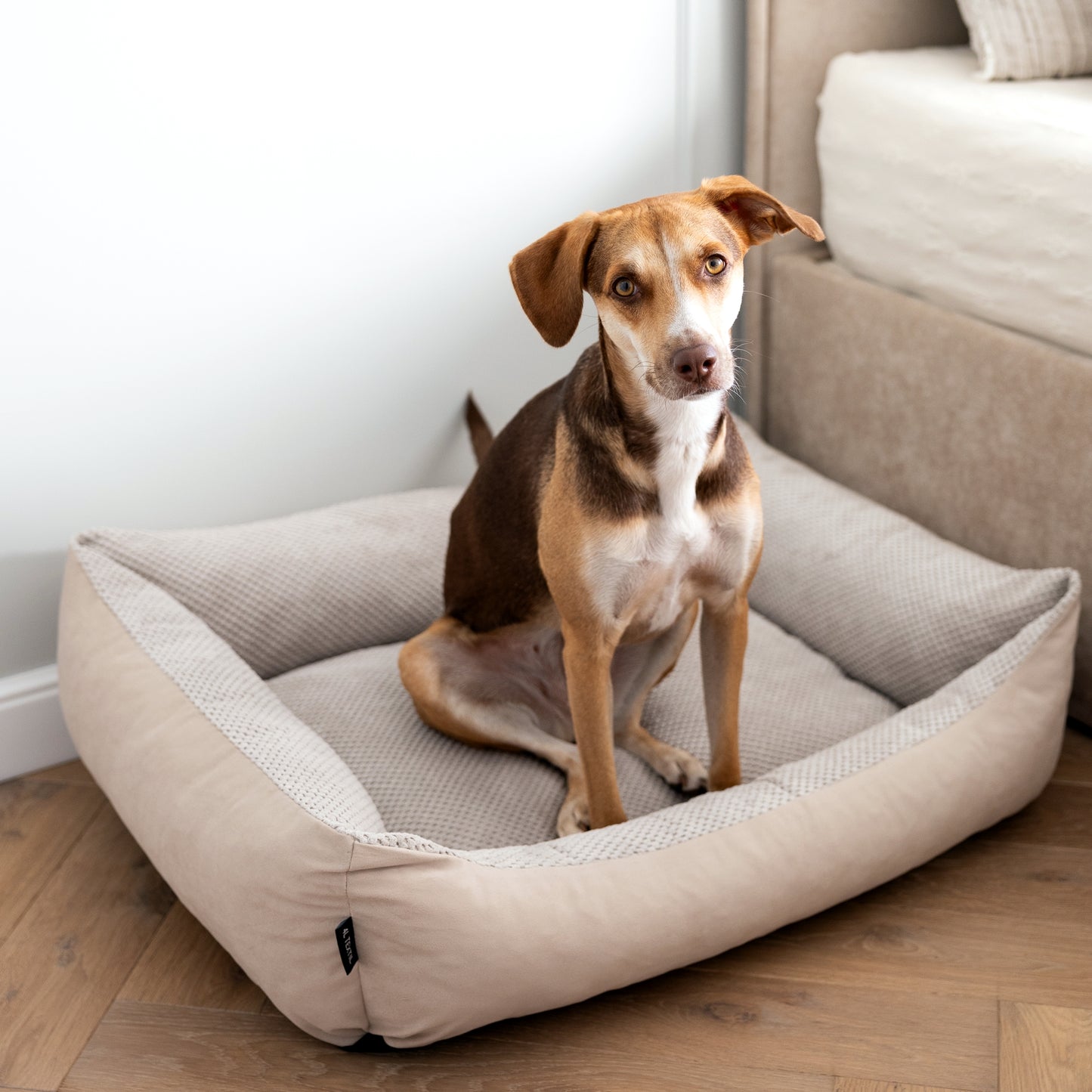 TEO Kuscheliges Hundebett Beige