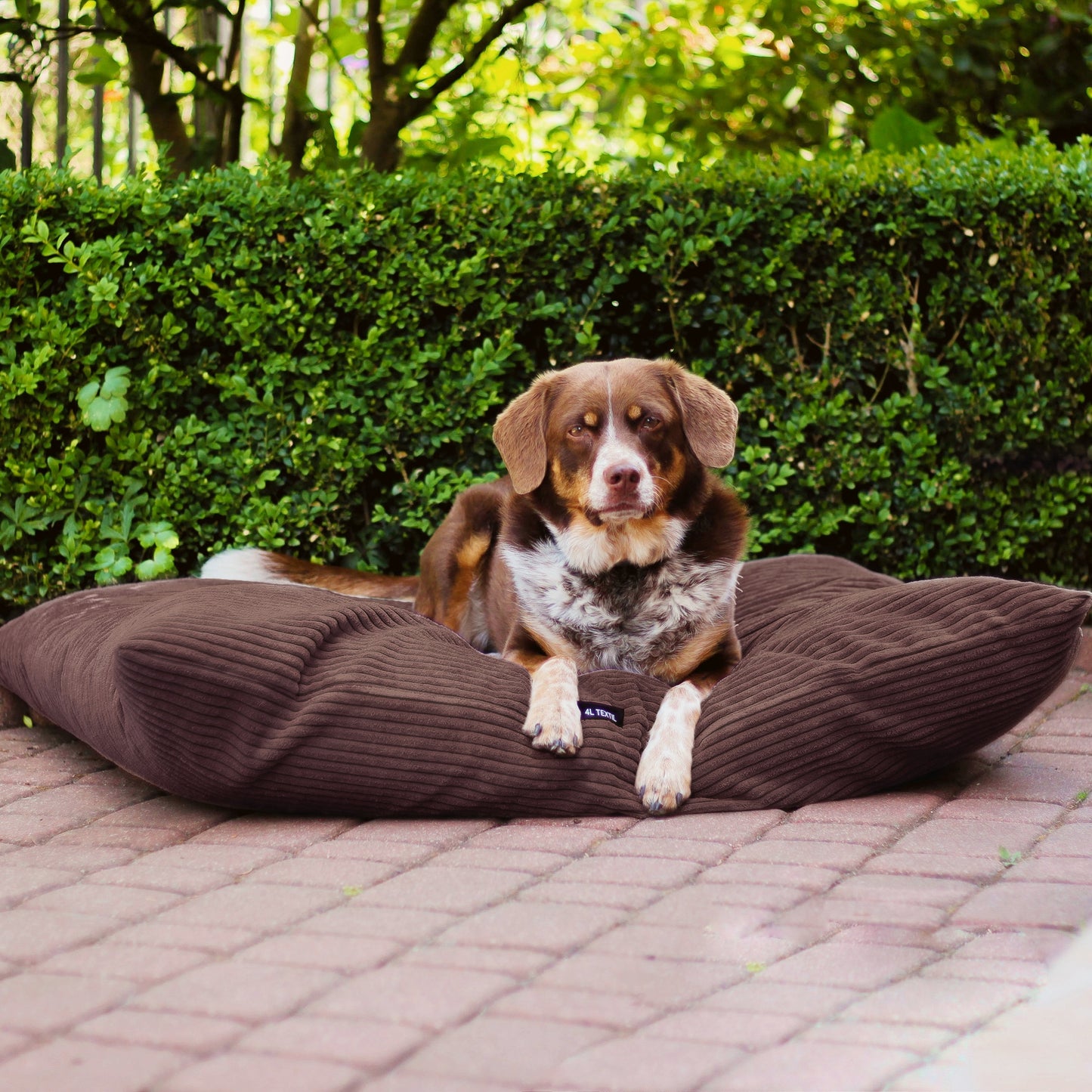 MOLLY Hundekissen aus Cord mit Bezug