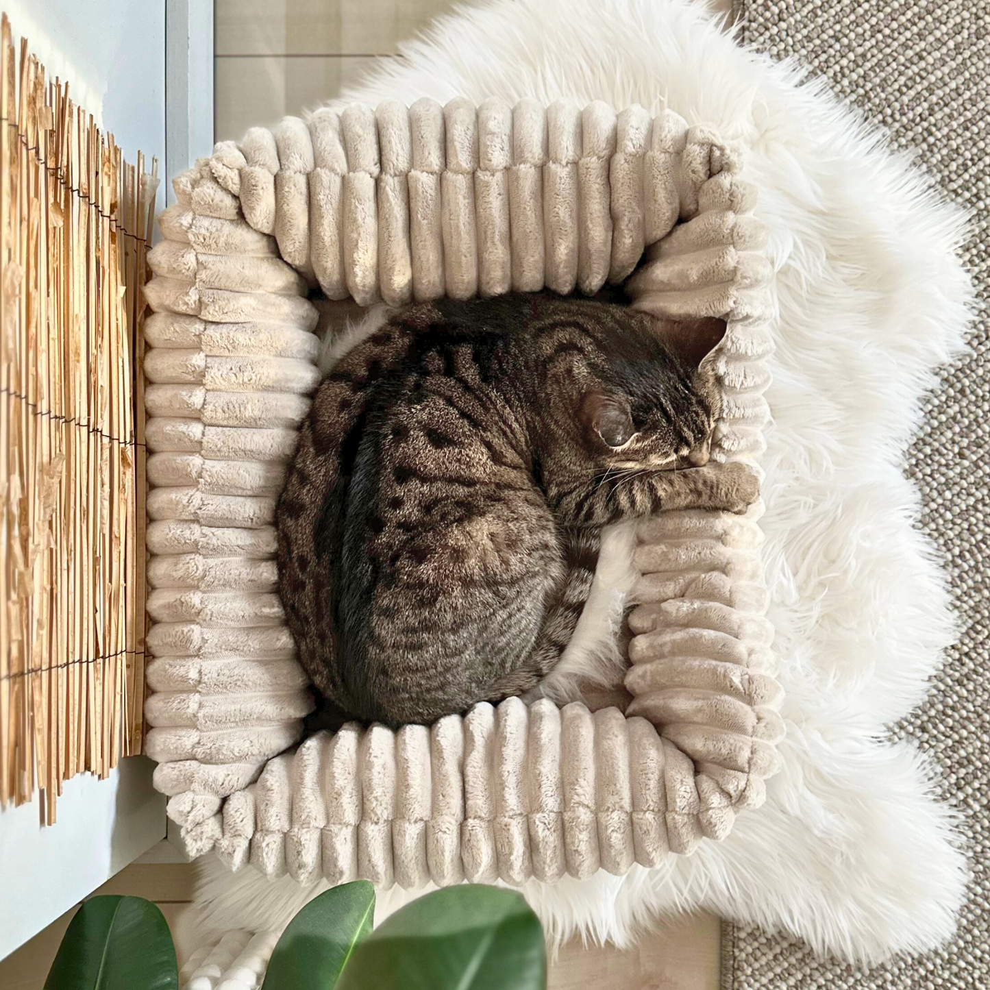 BELLA Plüsch-Katzenbett PREMIUM-LINE