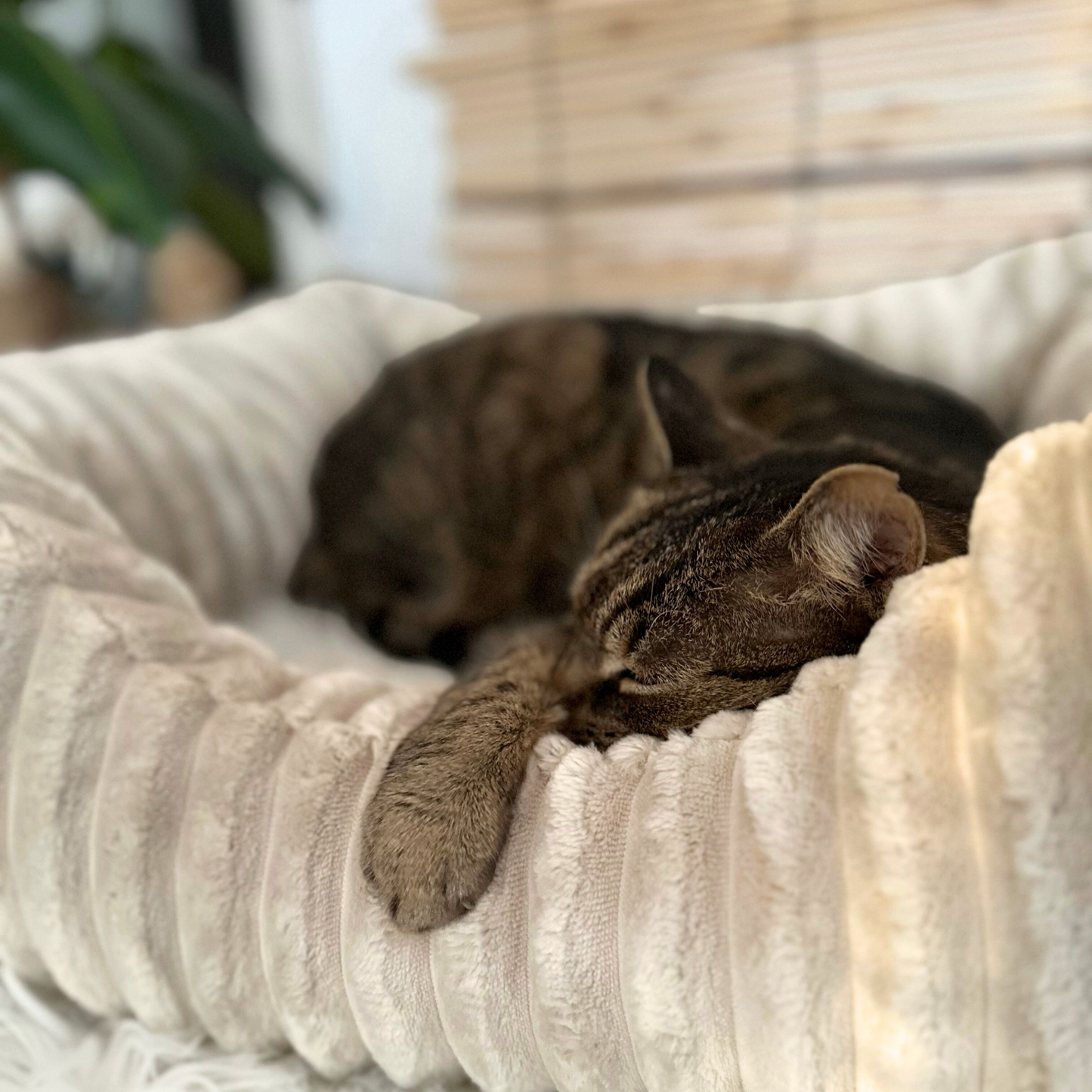 BELLA Plüsch-Katzenbett PREMIUM-LINE