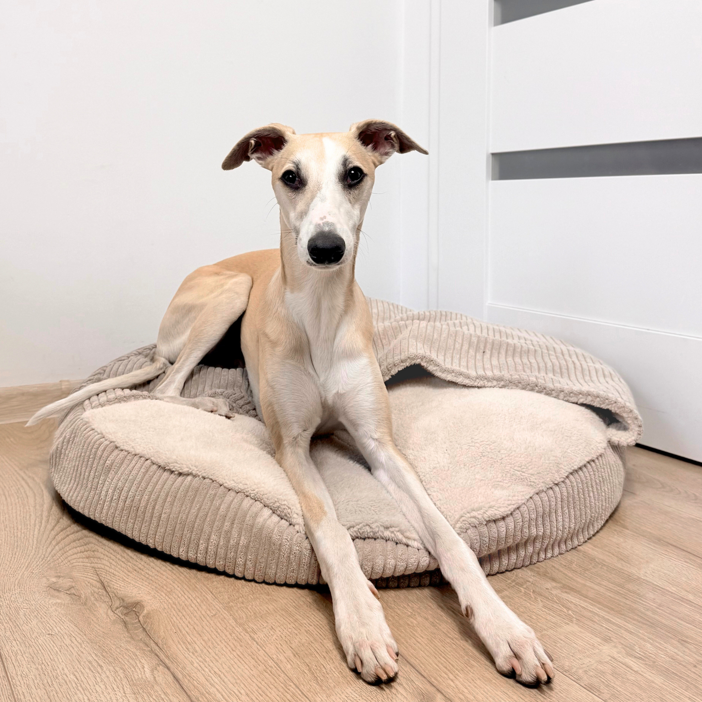 VIGO Hundebett mit Kapuze