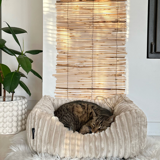 BELLA Plüsch-Katzenbett