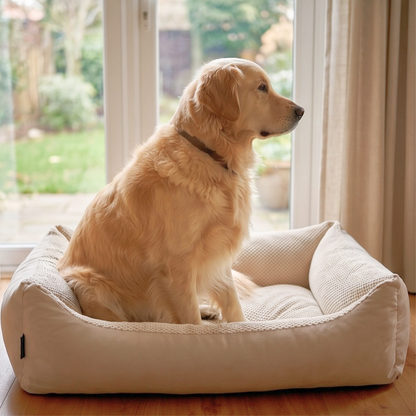 TEO Kuscheliges waschbares Hundebett