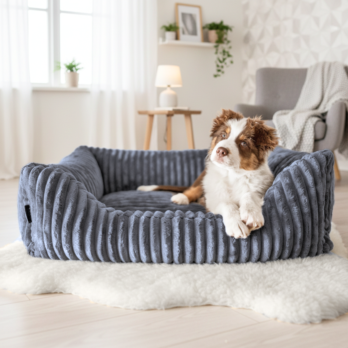 BELLA Plüsch-Hundebett