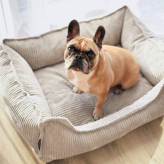 Hugo Kuscheliges Hundebett aus Cord PREMIUM-LINE