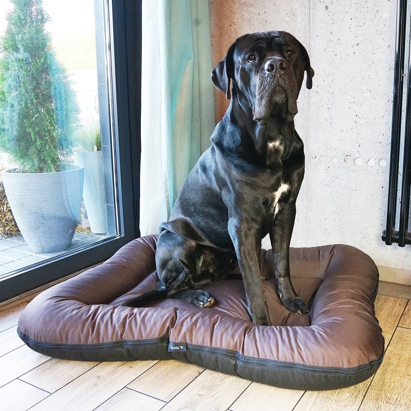 KLEO Wasserabweisendes Hundebett Braun